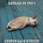 Хома дома-почти всегда