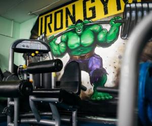 Фотография Iron Gym 0