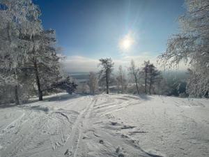 Фотография ГЛЦ "Гора Вишнёвая" пгт. Вишневогорск 1