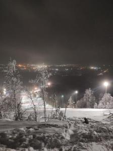 Фотография Гора Волчиха 3