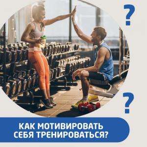 Фотография Камелот 4