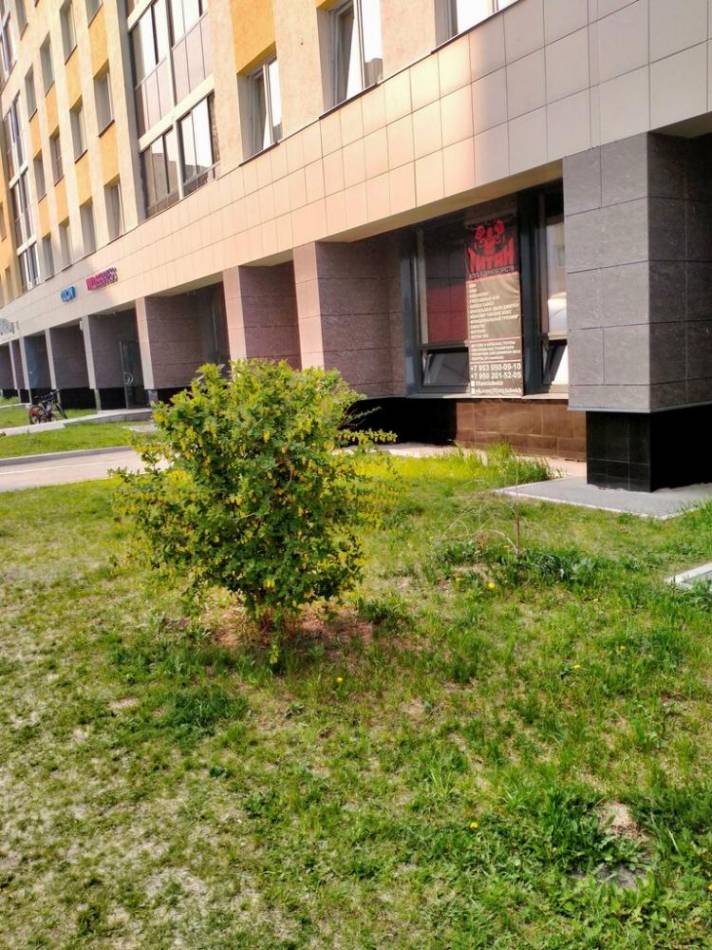 слайд