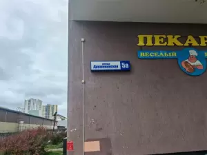 Фотография Мультиболл 4