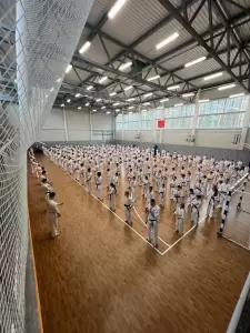 Фотография Федерация Карате Киокушинкай Свердловской области 0