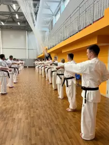 Фотография Федерация Карате Киокушинкай Свердловской области 3