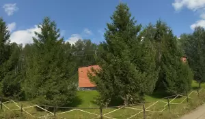 Фотография Локомотив 2