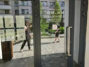 Фотография Радость движения 1