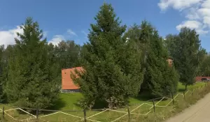 Фотография Локомотив 3